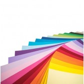 Papicolor