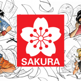 Sakura Koi