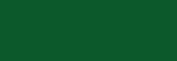 Anilina Acuarela Líquida Ecoline - Verde Oscuro
