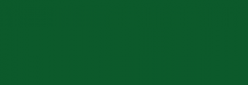 Anilina Acuarela Líquida Ecoline - Verde Oscuro