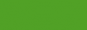 Cobra Study 200ml Verde Permanente Claro