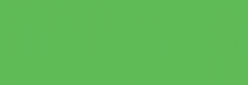 Copic Sketch Rotulador - Apple Green