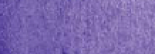 aquarelles Schmincke Horadam - tube 15ml - violet de cobalt