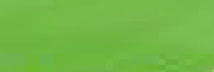 Rotulador Ecoline de acuarela - Light Green
