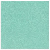 L'or de bombay 1 feuille de papier recyclé - 38x56cm - Cuir Vert d'Eau