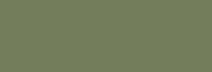 Touch Marker Brush Shinhan Marqueur Olive Green