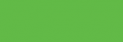 Touch Marker Brush Shinhan Rotulador Grass Green
