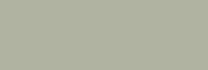 Touch Marker Brush Shinhan Retolador Grayish Green Pale