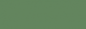 Touch Marker Brush Shinhan Rotulador Deep Olive Green
