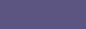 Touch Marker Brush Shinhan Marqueur Violet Dark