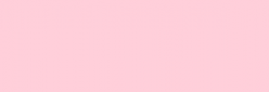 Touch Marker Brush Shinhan Retolador Pale Pink Light
