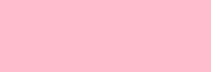Touch Marker Brush Shinhan Marqueur Light Pink
