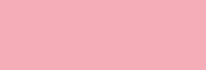 Touch Marker Brush Shinhan Retolador Pale Pink
