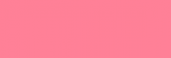 Touch Markers ShinHan Twin Marqueurs - Rose Pink