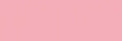 Touch Markers ShinHan Twin Marqueurs - Pale Pink