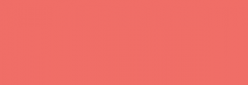 Touch Markers ShinHan Twin - Coral Pink