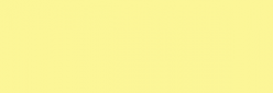 Touch Markers ShinHan Twin Marqueurs - Pale Yellow