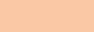 Touch Markers ShinHan Twin Retoladors - Salmon Pink