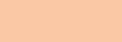 Touch Markers ShinHan Twin - Salmon Pink