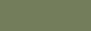 Touch Markers ShinHan Twin Marqueurs - Olive Green