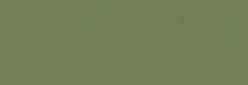 Touch Markers ShinHan Twin Retoladors - Olive Green