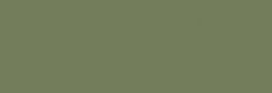 Touch Markers ShinHan Twin - Olive Green