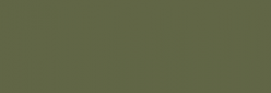 Touch Markers ShinHan Twin - Olive Green Dark