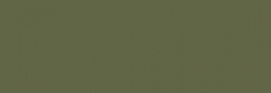 Touch Markers ShinHan Twin Retoladors - Olive Green Dark