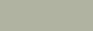 Touch Markers ShinHan Twin Marqueurs - Grayish Green Pale