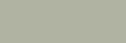 Touch Markers ShinHan Twin - Grayish Green Pale