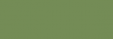 Touch Markers ShinHan Twin Retoladors - Sap Green
