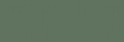 Touch Markers ShinHan Twin - Grayish Green Deep