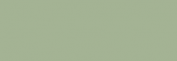 Touch Markers ShinHan Twin Retoladors - Grayish Olive Green
