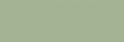 Touch Markers ShinHan Twin Marqueurs - Grayish Olive Green