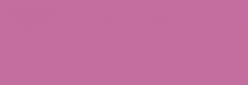 Touch Markers ShinHan Twin Marqueurs - Peony Purple