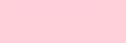 Touch Markers ShinHan Twin - Pale Pink Light