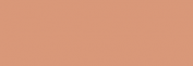 Touch Markers ShinHan Twin - Leather Brown