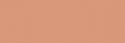 Touch Markers ShinHan Twin Retoladors - Leather Brown