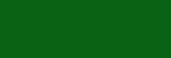 Rotulador Lyra Aqua Brush Duo - Verde Noche 