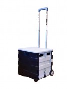 Trolley Iris Carrito para artistas