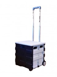 Trolley Iris Carrito para artistas