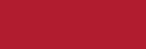 AEROCOLOR Schmincke Airbrush Professional 28 ml - red madder dark