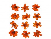 Flor seca prensada zinia linearis naranja 1905