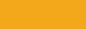 AEROCOLOR Schmincke Airbrush Professional 28 ml - jaune indien