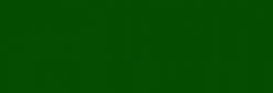 Acuarela Van Gogh Pastillas 1/2 Godet - Verde Hooker Oscuro