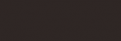COPIC TINTAS NEUTRAL GRAY 10