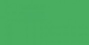 FABER CASTELL ALBRETCH DÜRER ROTULADOR ACUARELABLE VERDE HOJA