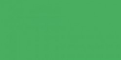 FABER CASTELL ALBRETCH DÜRER ROTULADOR ACUARELABLE VERDE HOJA