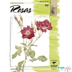 Rosas - Colección Leonardo n42