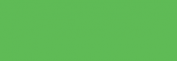 Tinta para grabado Block Printing Ink 300 ml Verde